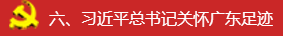 学习贯彻习近平总书记在参加十三届全国人大一次会议广东代表团审议时的重要讲话精神——以新的更大作为开创广东工作新局面